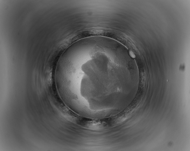 X0000100470267200806131133