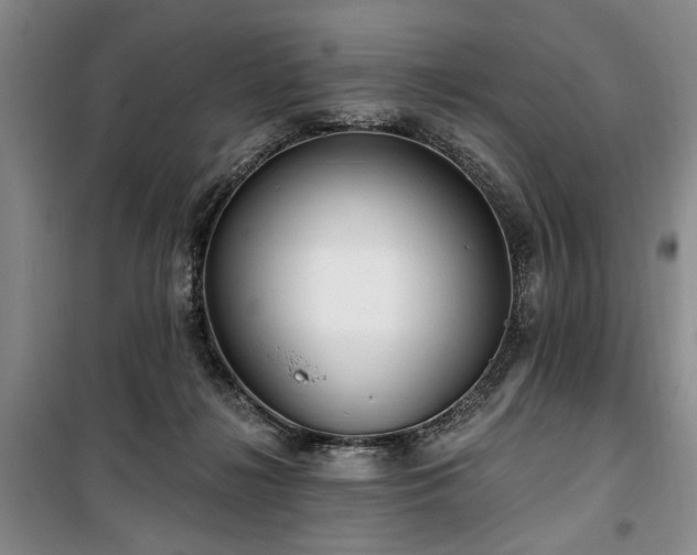 X0000100470268200806131133