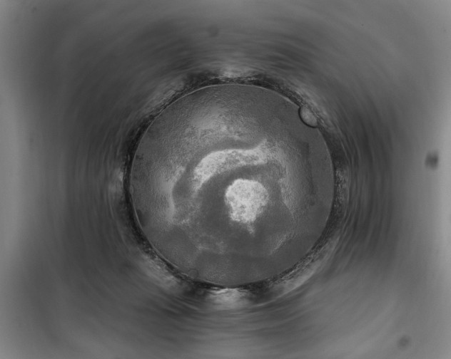 X0000100470269200806131133