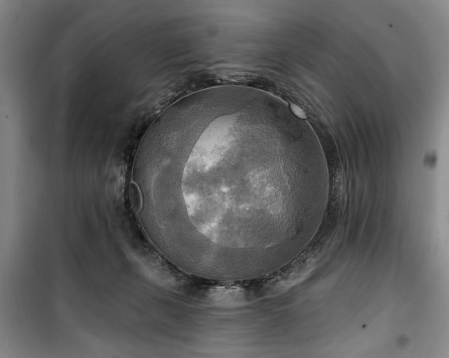 X0000100470271200806131133