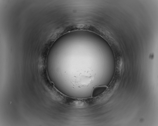 X0000100470272200806131133