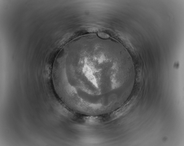 X0000100470273200806131133