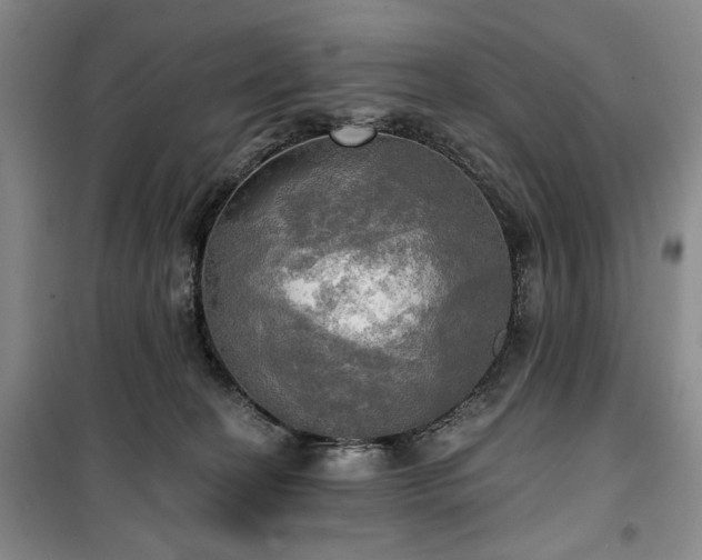 X0000100470274200806131133