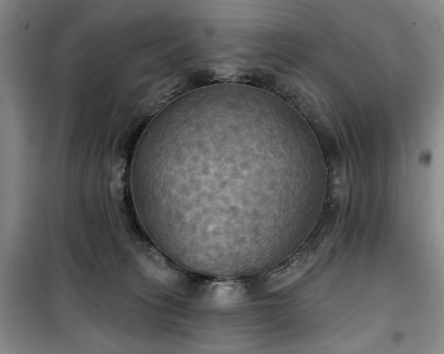 X0000100470275200806131133