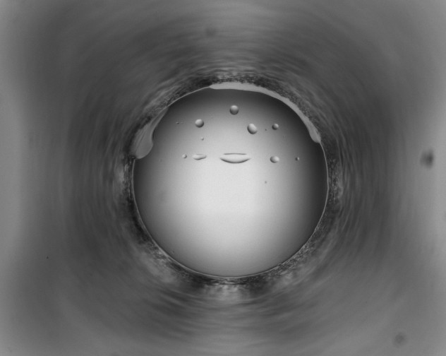 X0000100470276200806131134