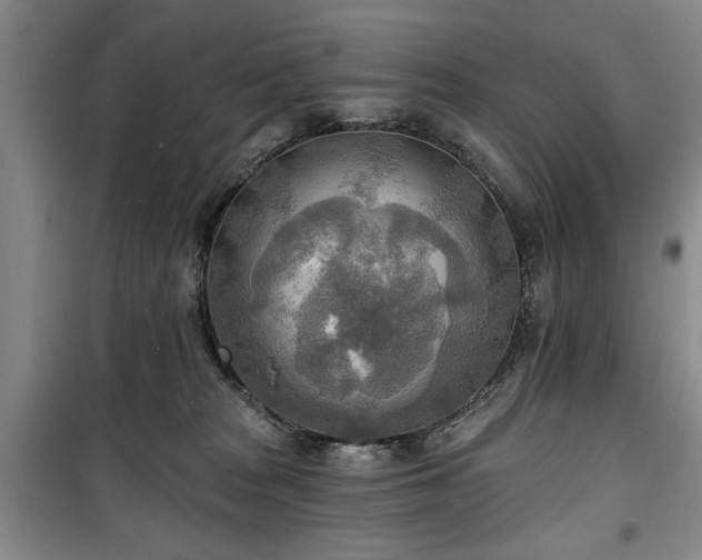 X0000100470277200806131134