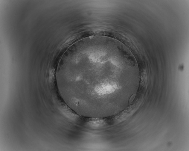 X0000100470278200806131134