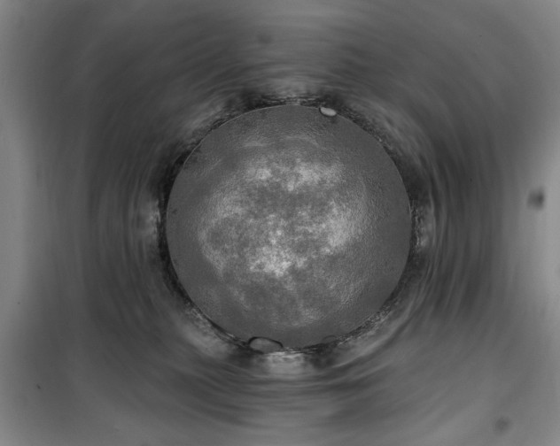 X0000100470279200806131134