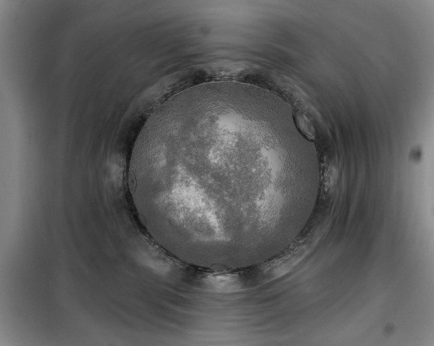 X0000100470283200806131134