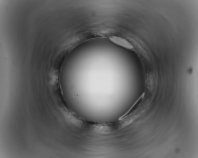 X0000100470284200806131134