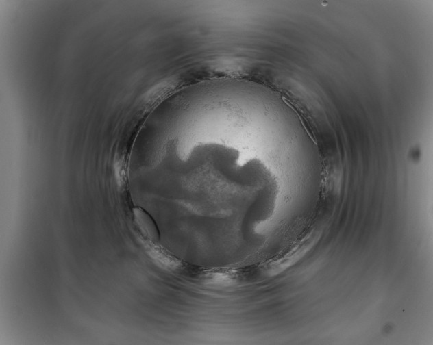 X0000100470285200806131134