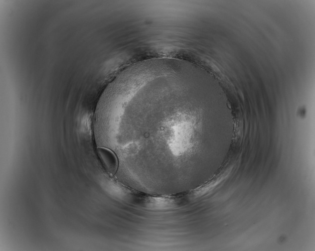 X0000100470286200806131134