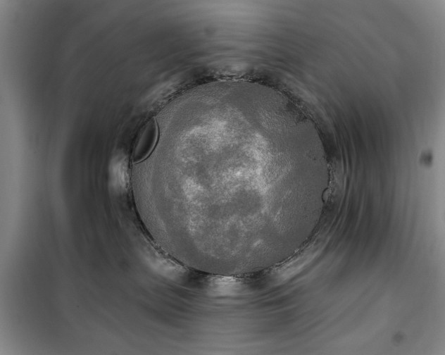 X0000100470287200806131134