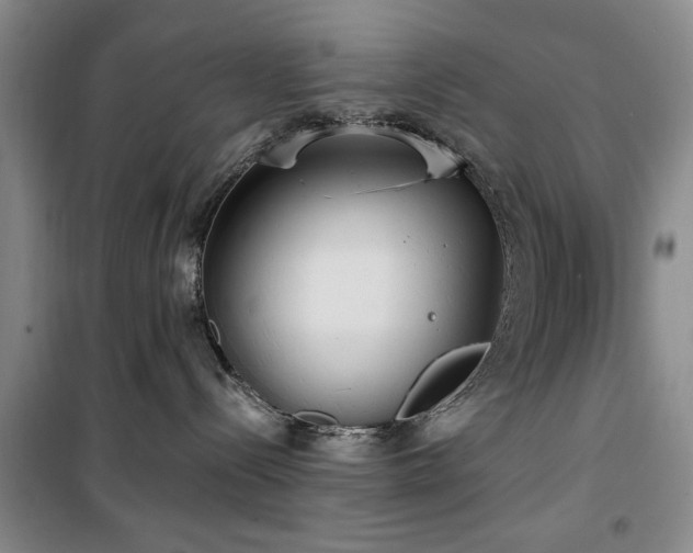 X0000100470288200806131134