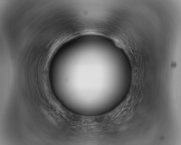 X0000100470289200806131133