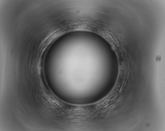 X0000100470290200806131133