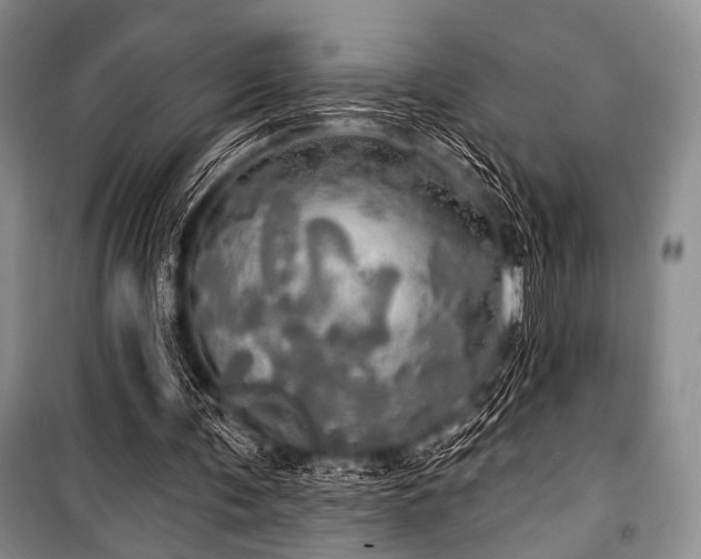 X0000100470291200806131133