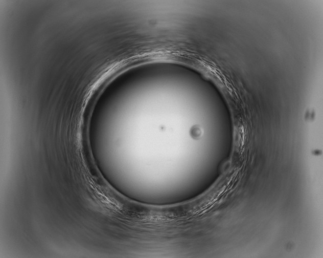 X0000100470292200806131133