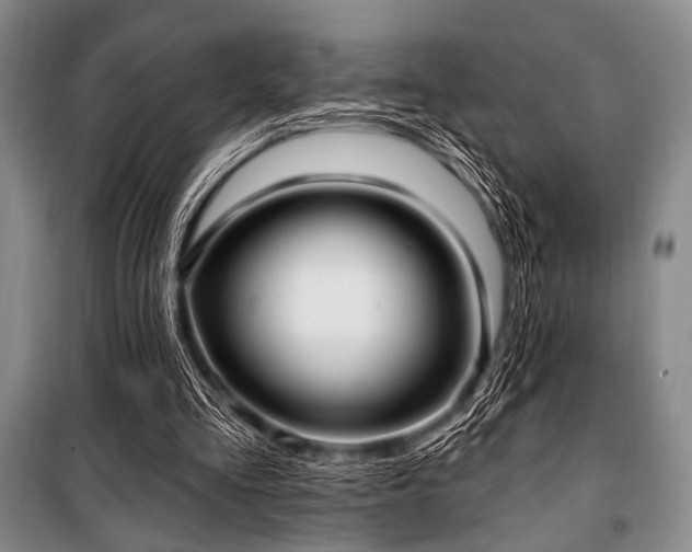 X0000100470293200806131133