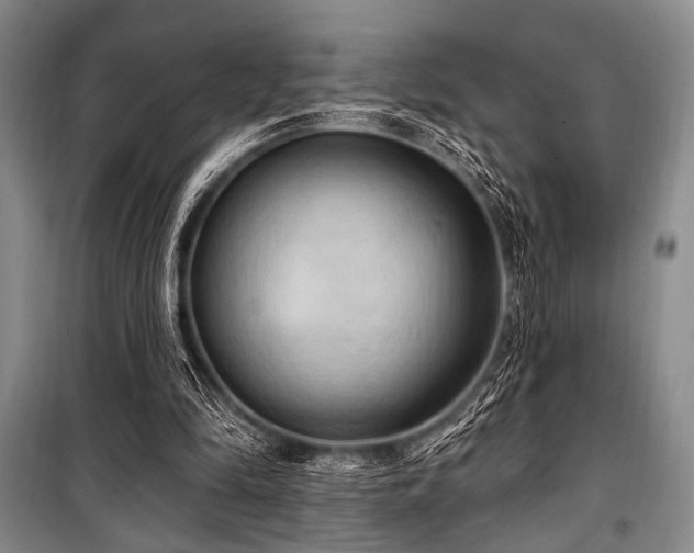 X0000100470294200806131133