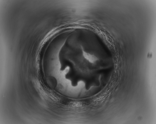 X0000100470295200806131133