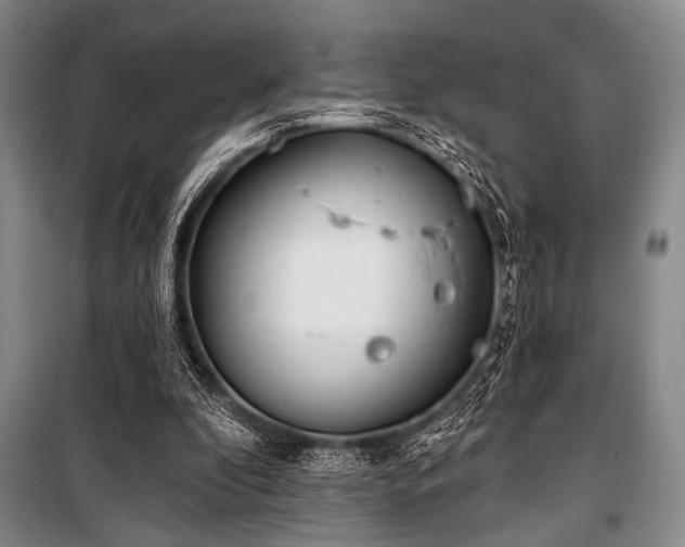 X0000100470296200806131133