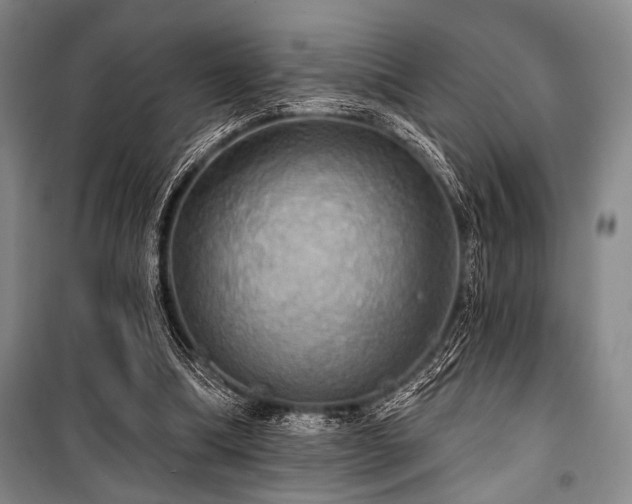 X0000100470298200806131133