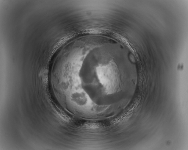 X0000100470299200806131133