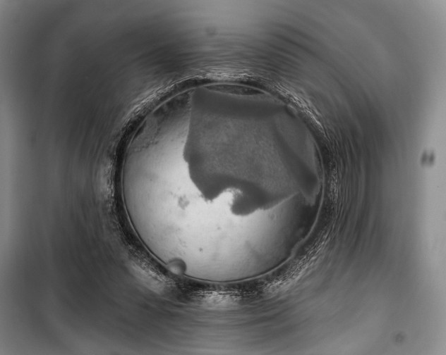 X0000100470303200806131133