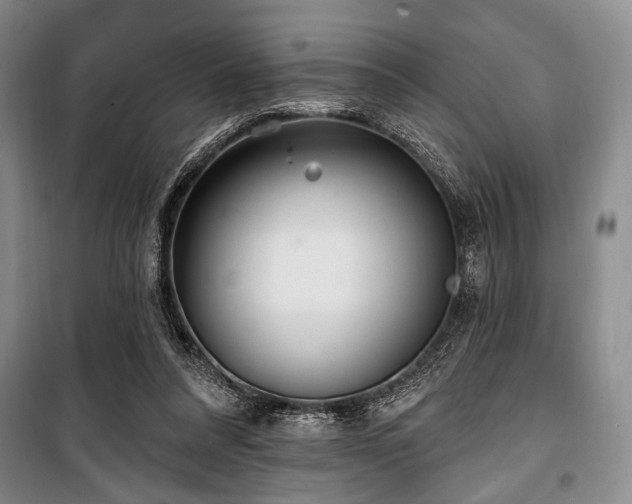 X0000100470304200806131133