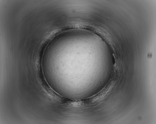 X0000100470306200806131133