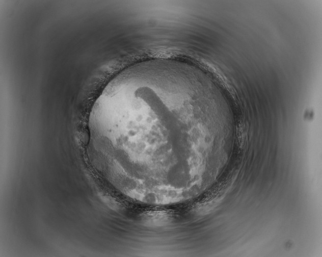 X0000100470307200806131133