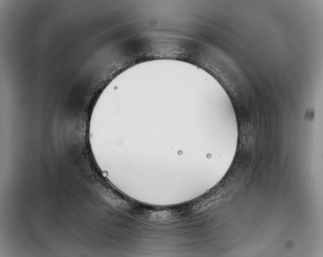 X0000100470309200806131133