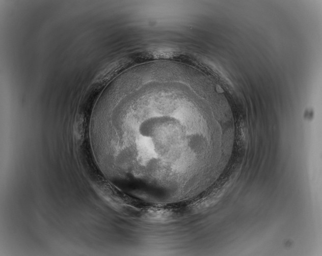 X0000100470311200806131133