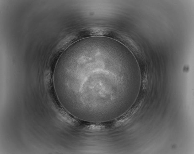 X0000100470314200806131133