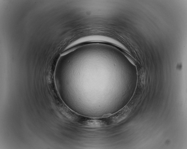 X0000100470316200806131133