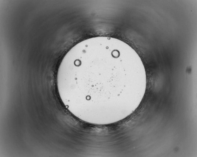 X0000100470317200806131133