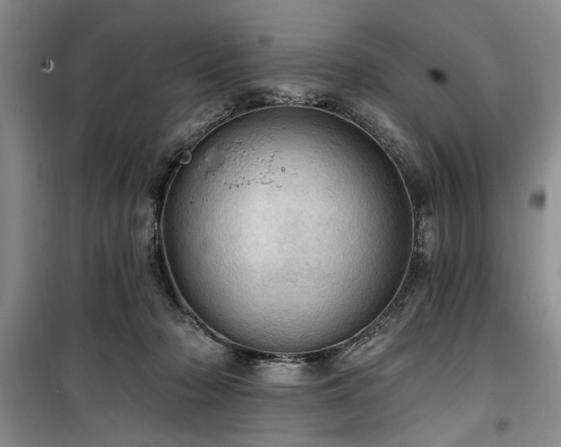 X0000100470318200806131133