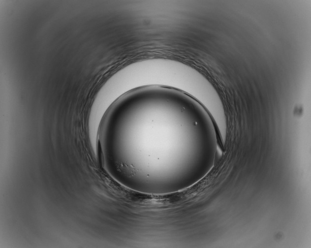 X0000100470320200806131133