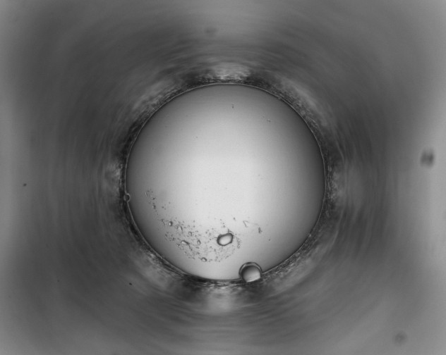 X0000100470321200806131133