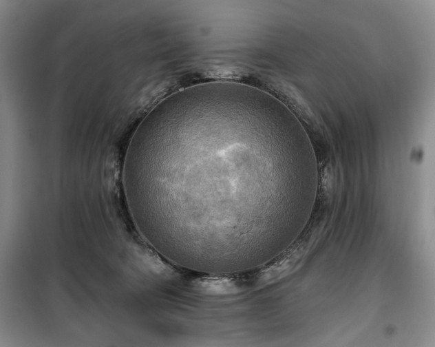 X0000100470322200806131133