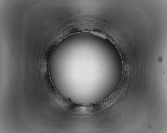 X0000100470323200806131133