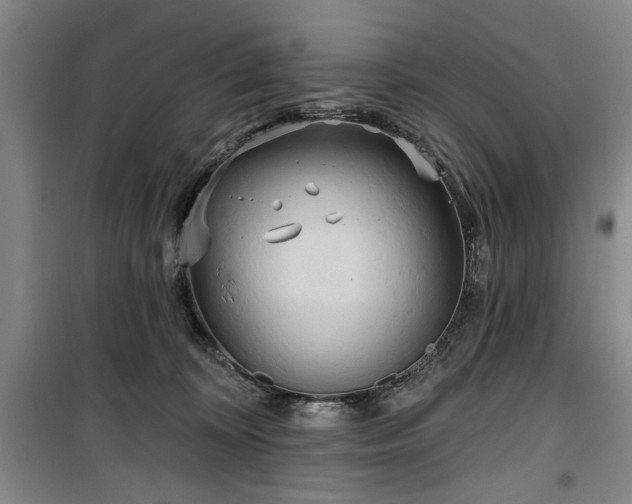 X0000100470324200806131133