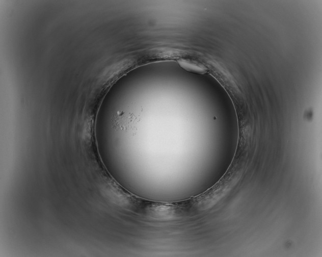 X0000100470325200806131133