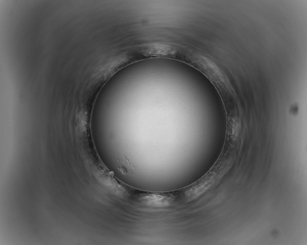 X0000100470326200806131132