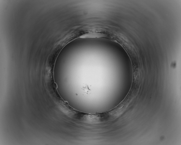 X0000100470327200806131132