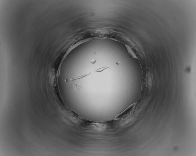 X0000100470328200806131132