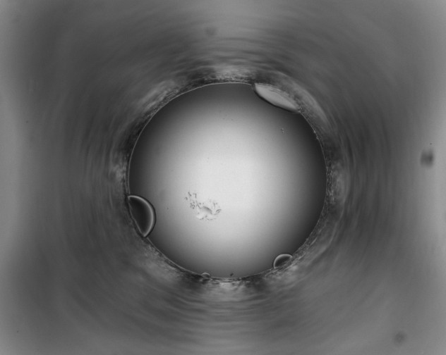 X0000100470329200806131132