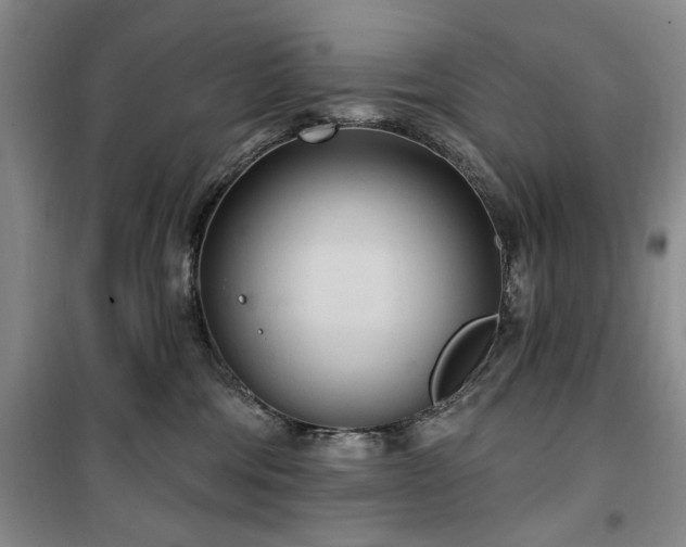 X0000100470330200806131132