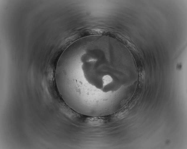 X0000100470331200806131132